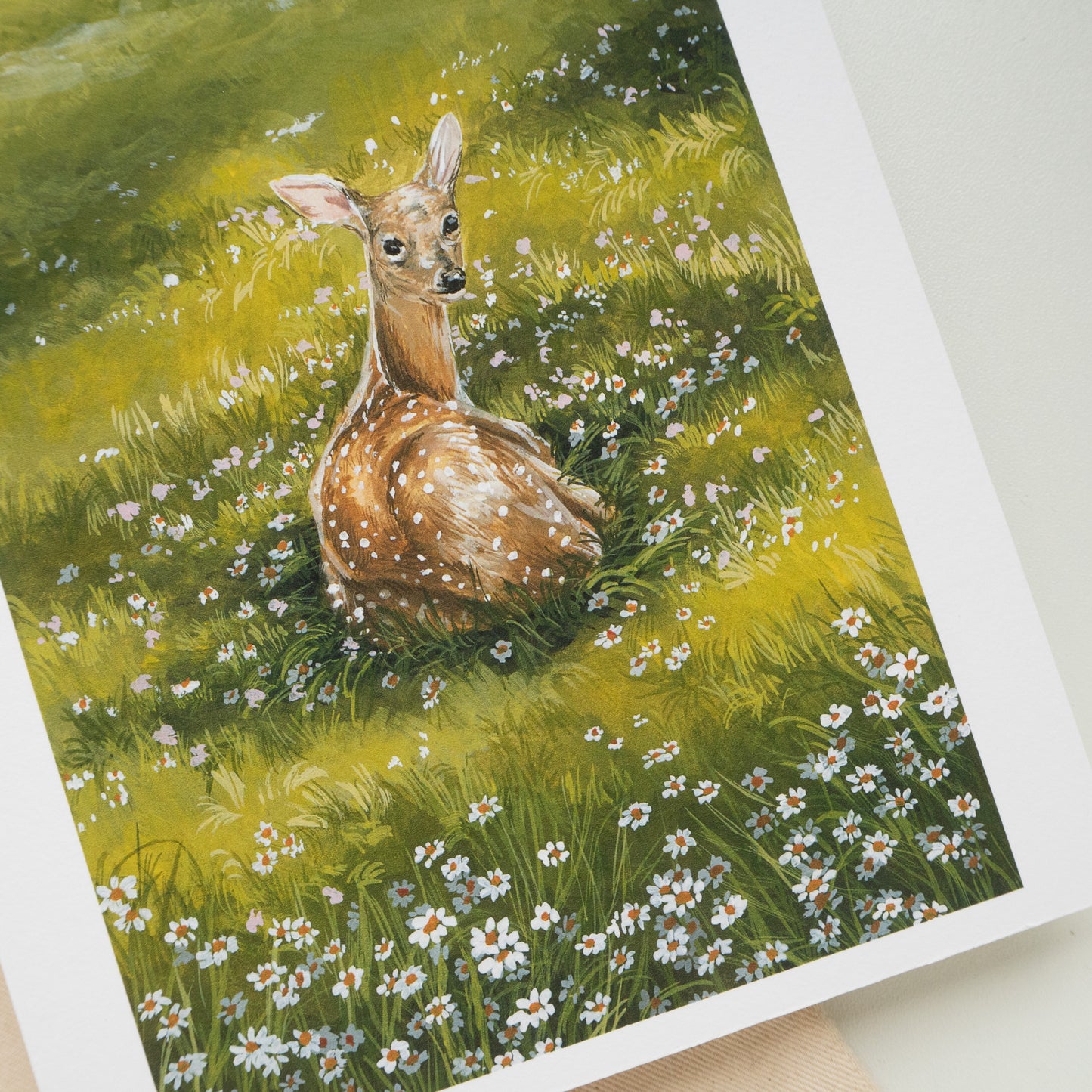 "Resting Fawn" A5 Fine Art Print