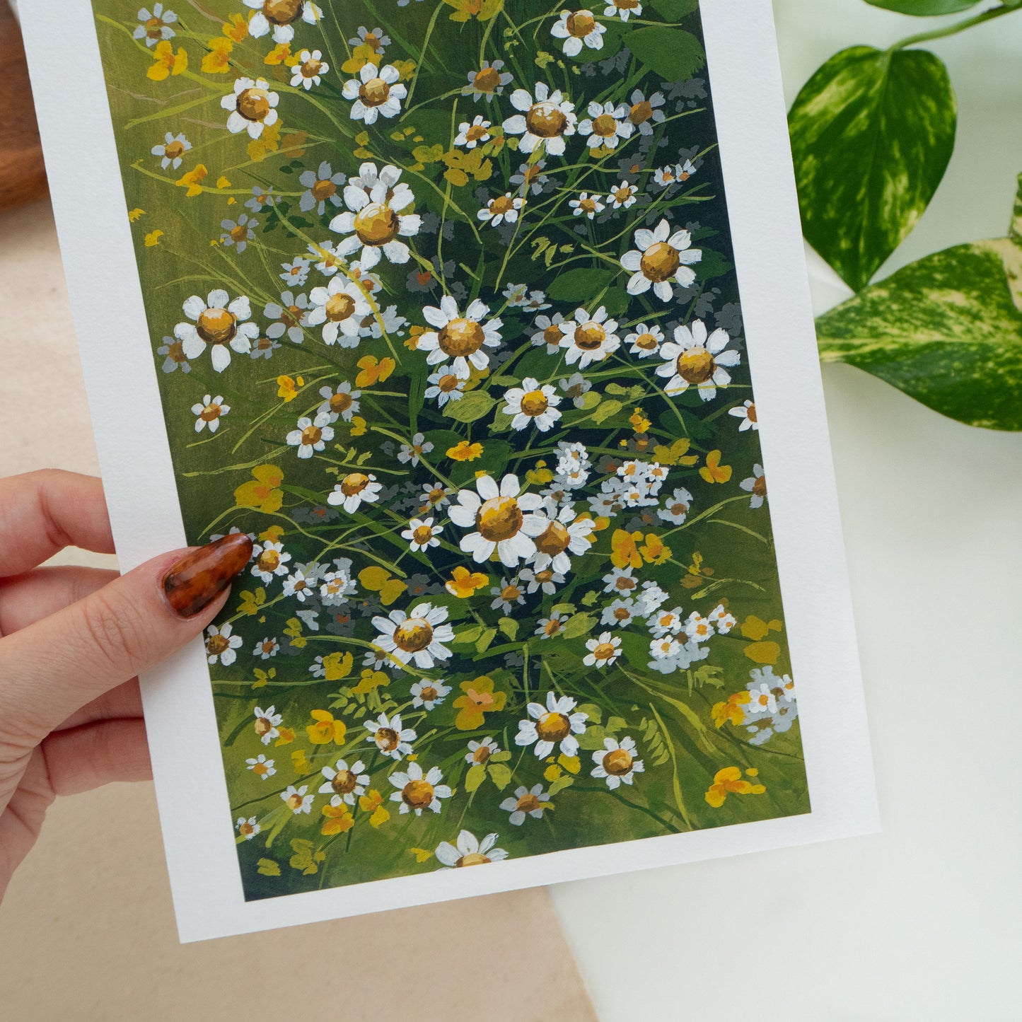 "Chamomile I" A5 Fine Art Print