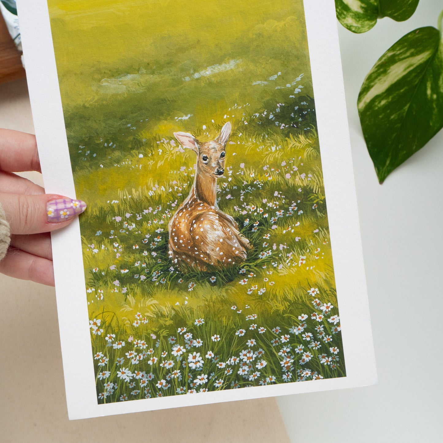 "Resting Fawn" A5 Fine Art Print