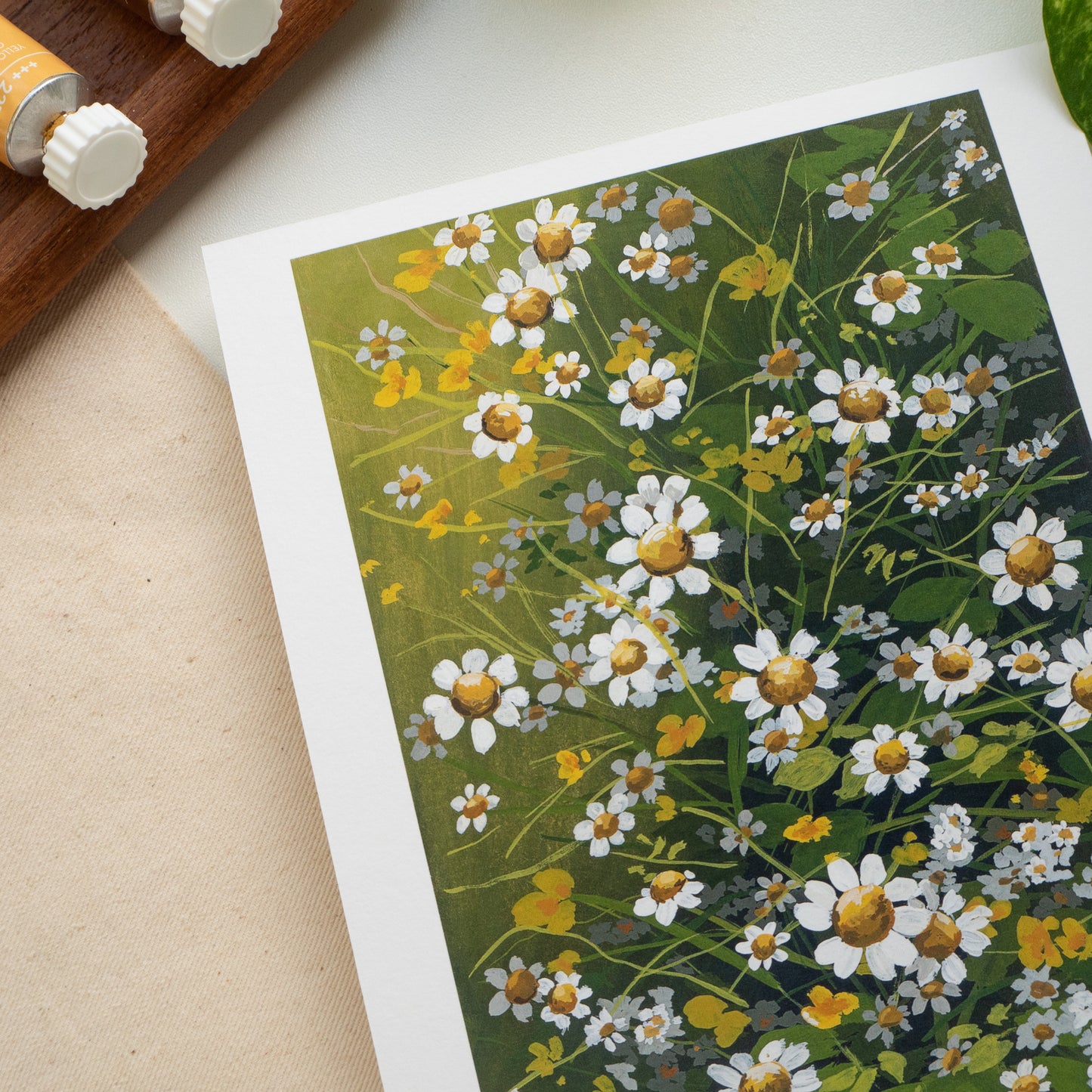 "Chamomile I" A5 Fine Art Print